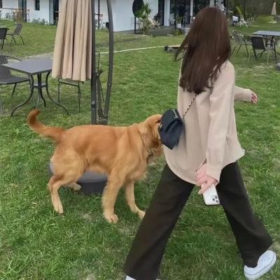 失踪人口